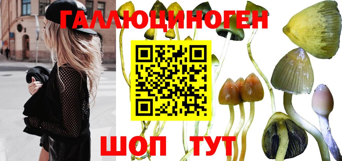 купить закладку  Галлюциногенные грибы Psilocybine cubensis  Вход с VPN  Губкинский 